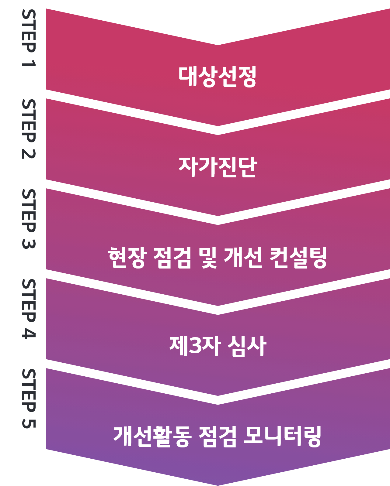 (STEP 1)대상선정 → (STEP 2)자가진단 → (STEP 3)현장 점검 및 개선 컨설팅 → (STEP 4)제3자 심사 → (STEP 5)개선활동 점검 모니터링